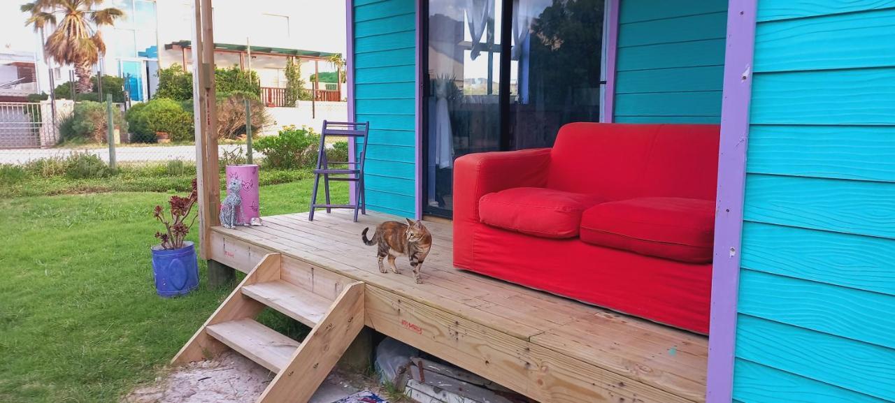Cat Nap Cottage Bettys Bay Exterior photo