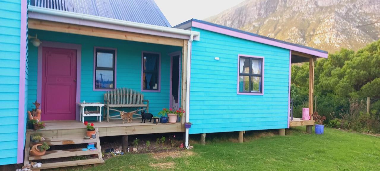 Cat Nap Cottage Bettys Bay Exterior photo