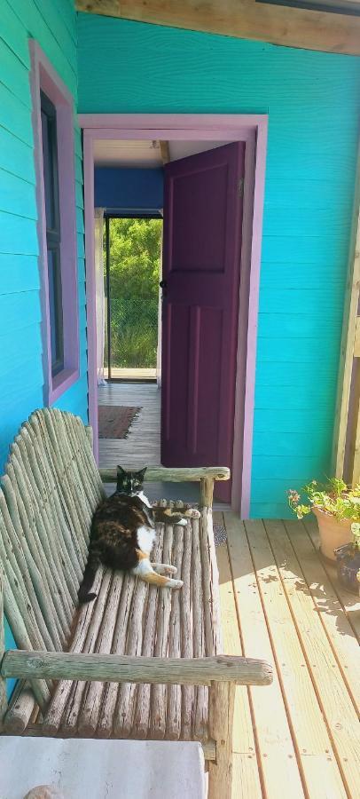 Cat Nap Cottage Bettys Bay Exterior photo