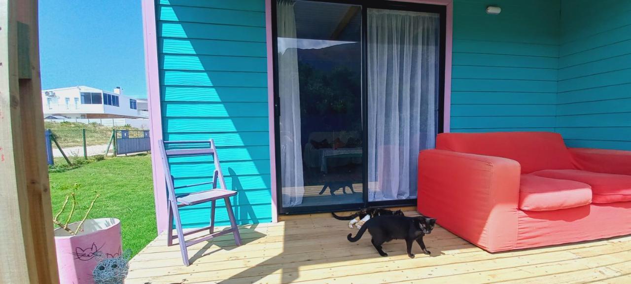 Cat Nap Cottage Bettys Bay Exterior photo