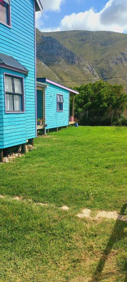 Cat Nap Cottage Bettys Bay Exterior photo